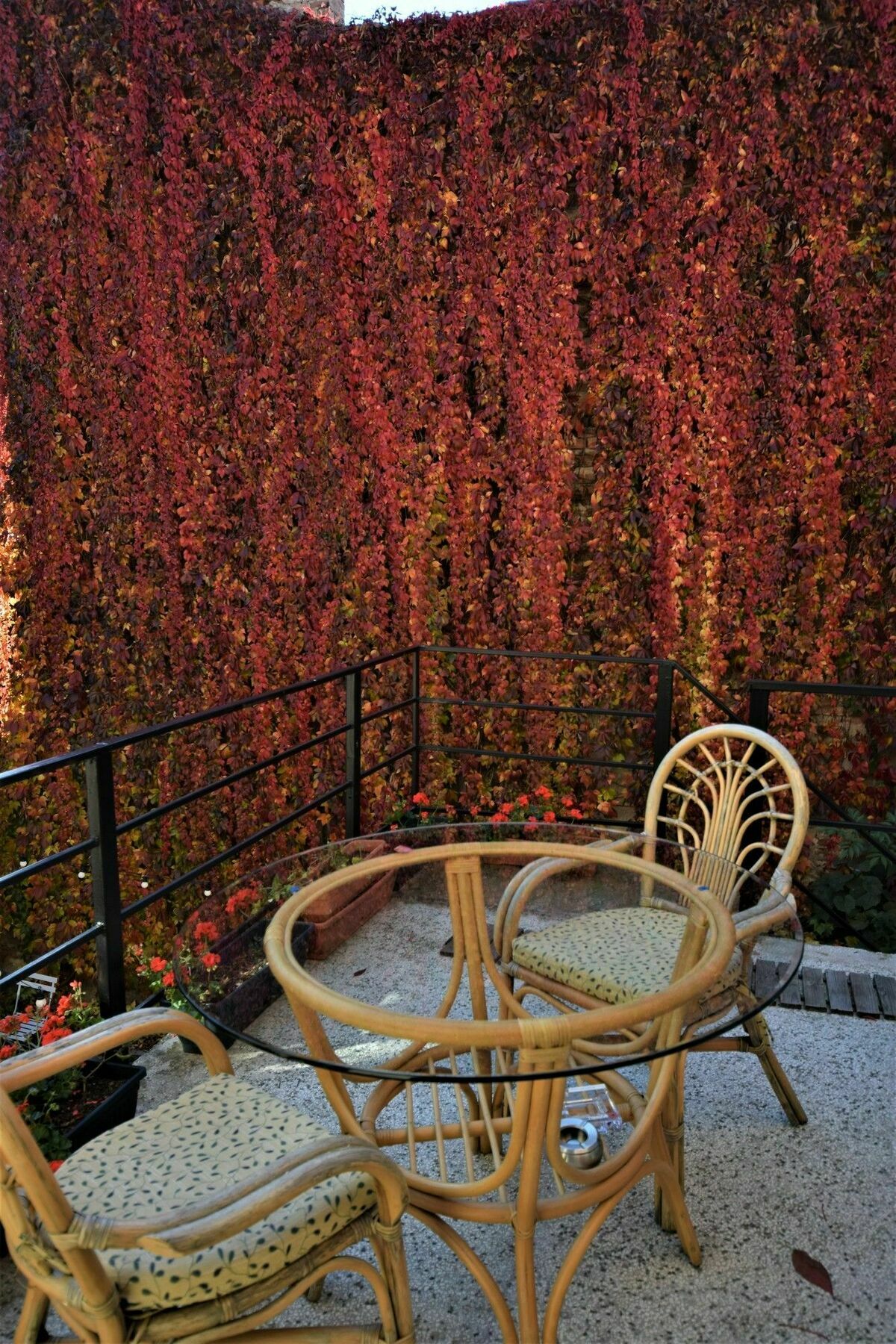 Bed and Breakfast Goldsmith Sibiu Esterno foto